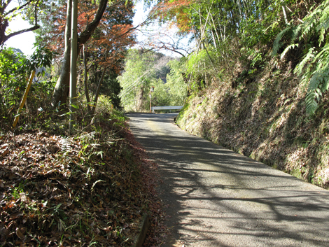 20160108hike (23)